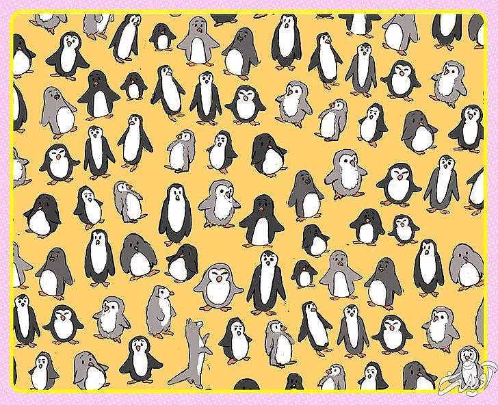 چند معمای تصویری برای آنهایی که توجه و دقت زیادی دارند